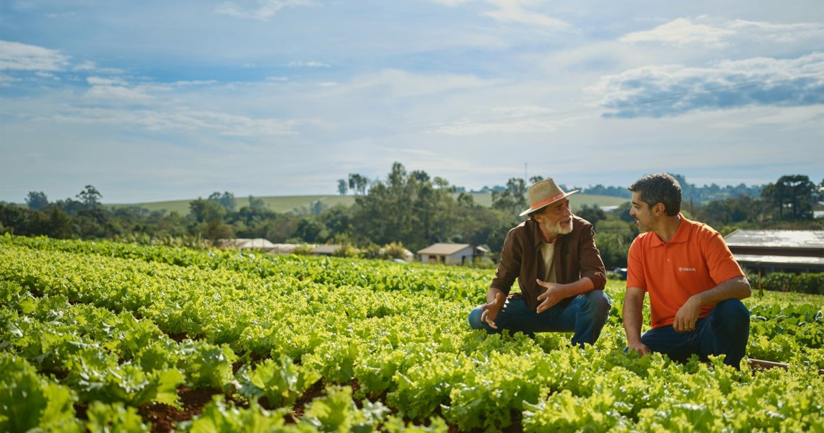 Cresol completa 31 anos com crescimento médio de 30% ao ano e consolida modelo de expansão sustentável 2 Cresol completa 31 anos com crescimento médio de 30% ao ano e consolida modelo de expansão sustentável