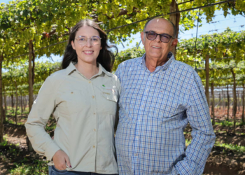 Cooperativa Coopexvale investe em sucessão familiar para garantir continuidade da produção de uvas no PE 2 Cooperativa Coopexvale investe em sucessão familiar para garantir continuidade da produção de uvas no PE
