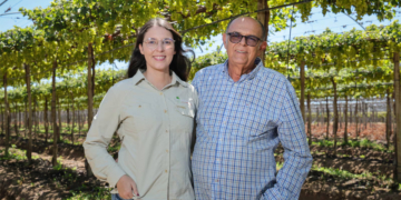 Cooperativa Coopexvale investe em sucessão familiar para garantir continuidade da produção de uvas no PE