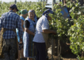 Novo decreto garante segurado especial a produtores rurais cooperados 29 Novo decreto garante segurado especial a produtores rurais cooperados