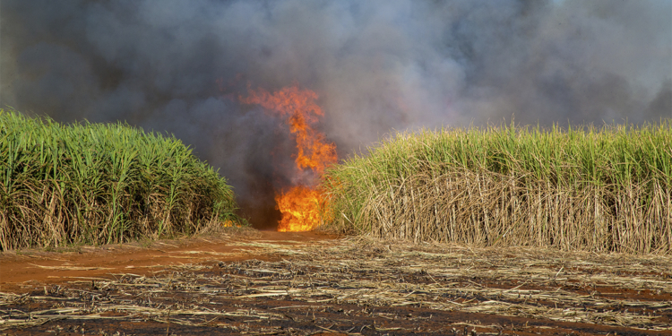 Ministérios da Agricultura e Desenvolvimento Agrário discutem medidas para proteger produtores de efeitos do El Niño