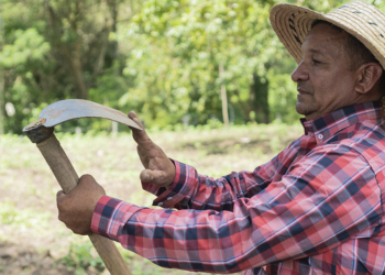 Cooperativas articulam derrubada de veto a projeto que mantém benefícios sociais para trabalhadores temporários da safra 2 Cooperativas articulam derrubada de veto a projeto que mantém benefícios sociais para trabalhadores temporários da safra