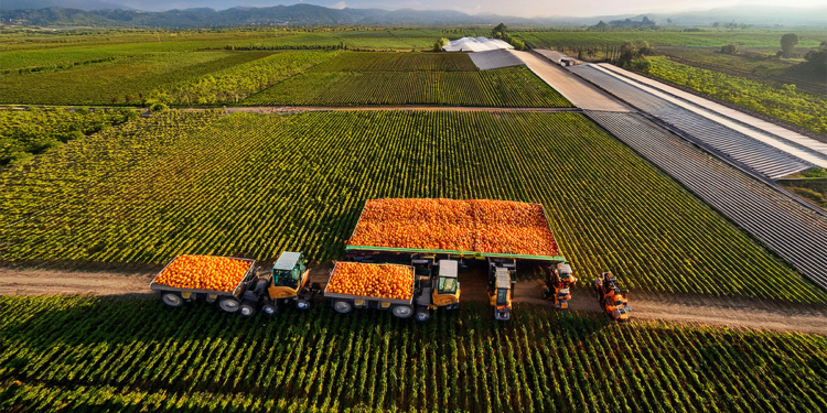 Brasil reduz diferença de US$56 bi e pode assumir liderança global no volume de exportações agrícolas 1 EXPORTACOES