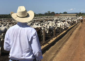 Cooperativismo representa 18,2% do PIB de Mato Grosso do Sul e reforça protagonismo na economia estadual 2 Cooperativismo representa 18,2% do PIB de Mato Grosso do Sul e reforça protagonismo na economia estadual