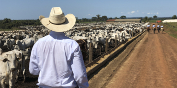 Cooperativismo representa 18,2% do PIB de Mato Grosso do Sul e reforça protagonismo na economia estadual 10 Cooperativismo representa 18,2% do PIB de Mato Grosso do Sul e reforça protagonismo na economia estadual