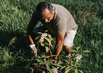 Licenciamento ambiental define ritmo dos investimentos cooperativos 3 Licenciamento ambiental define ritmo dos investimentos cooperativos