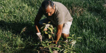 Licenciamento ambiental define ritmo dos investimentos cooperativos