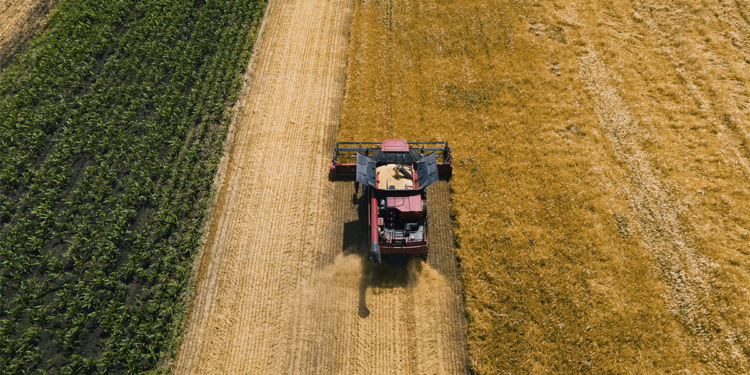 Plano Safra de R$ 610 bilhões reduz crédito para custeio e deixa seguro rural sem solução, alertam cooperativas