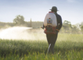 Protetor solar para plantas pode reduzir perdas de produtividade em lavouras com calor extremo