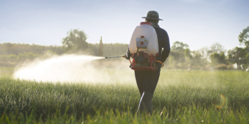 Protetor solar para plantas pode reduzir perdas de produtividade em lavouras com calor extremo