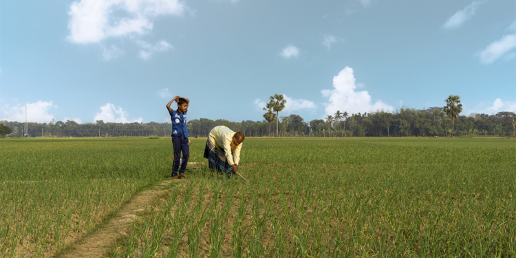 Cooperativas agropecuárias defendem políticas permanentes de crédito e seguro rural diante de eventos climáticos extremos