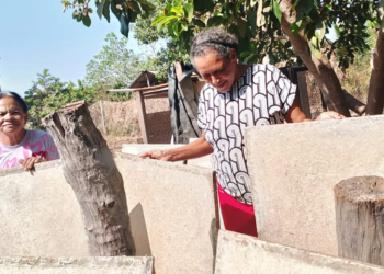 Sicredi apoia projeto paraense de reaproveitamento da fibra do abacaxi para produção de papel