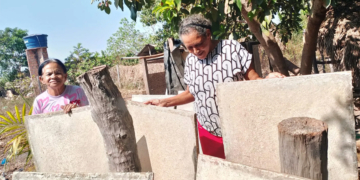 Sicredi apoia projeto paraense de reaproveitamento da fibra do abacaxi para produção de papel