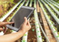 Inteligência artificial preditiva chega ao campo via celular para reduzir riscos na lavoura