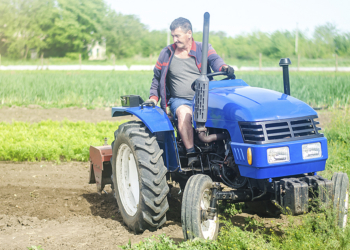 MAPA propõe ao CMN priorizar contratos com seguro rural em renegociação de dívida 2 MAPA propõe ao CMN priorizar contratos com seguro rural em renegociação de dívida