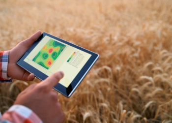 Por que consultores agrícolas não podem mais abrir mão dos dados de satélite 2 agro 2