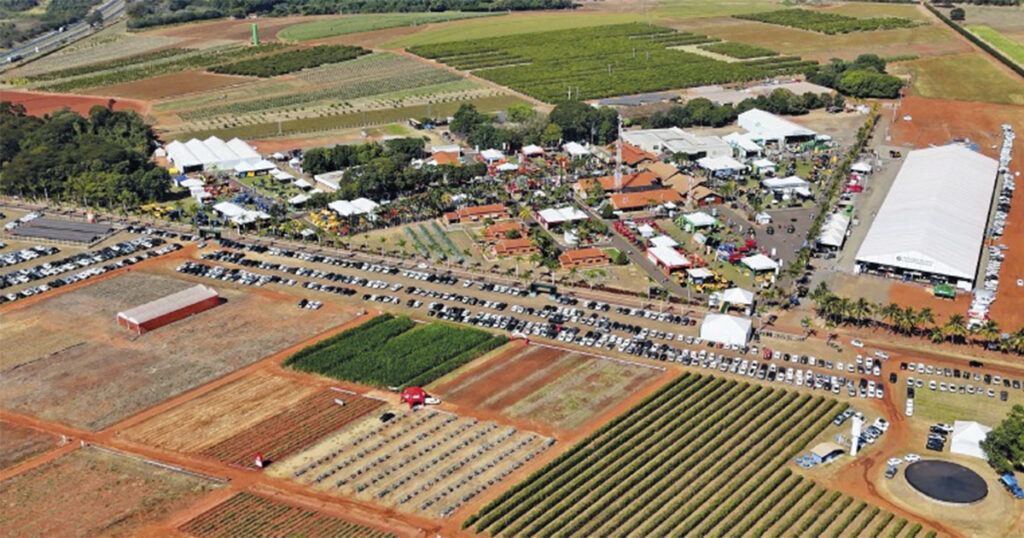 coopercitrus 1