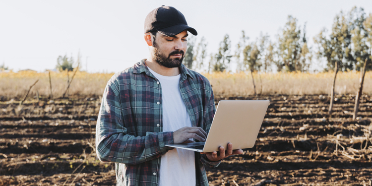 Gêmeos digitais no agro simulam cenários de clima, doenças e fertilizantes antes da execução no campo