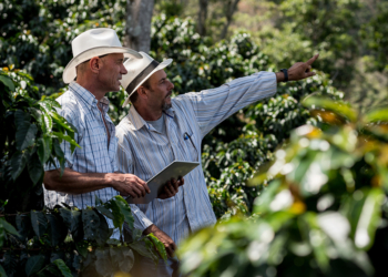 Perfil da cafeicultura brasileira amplia demanda por tecnologias adequadas a diferentes escalas