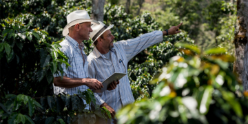 Perfil da cafeicultura brasileira amplia demanda por tecnologias adequadas a diferentes escalas