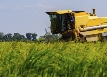 Conab revisa safra para 360,8 milhões de toneladas com recordes em soja milho algodão e sorgo