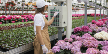 Cooperativa Cooperflora investe em usina solar de 1,2 MW para atender centro de cultivo 8 Cooperativa Cooperflora investe em usina solar de 1,2 MW para atender centro de cultivo