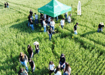 Cooperativa Coprossel apresenta atividades rurais a estudantes paranaenses 4 Cooperativa Coprossel apresenta atividades rurais a estudantes paranaenses