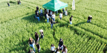 Cooperativa Coprossel apresenta atividades rurais a estudantes paranaenses