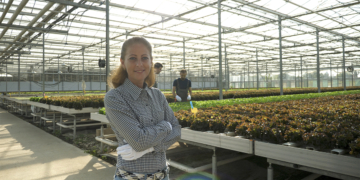 Agro pode movimentar R$ 3,5 bi em créditos de carbono com regulamentação como principal entrave
