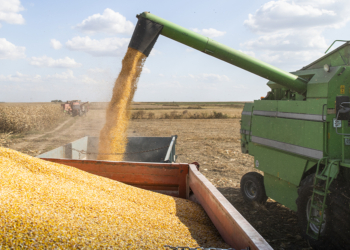 Agronegócio brasileiro amplia desafio de manter competitividade ao alcançar R$ 3,2 tri