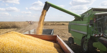 Agronegócio brasileiro amplia desafio de manter competitividade ao alcançar R$ 3,2 tri 2 Agronegócio brasileiro amplia desafio de manter competitividade ao alcançar R$ 3,2 tri