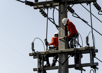 Cooperativas gaúchas realizam leilão conjunto para compra de energia de curto prazo