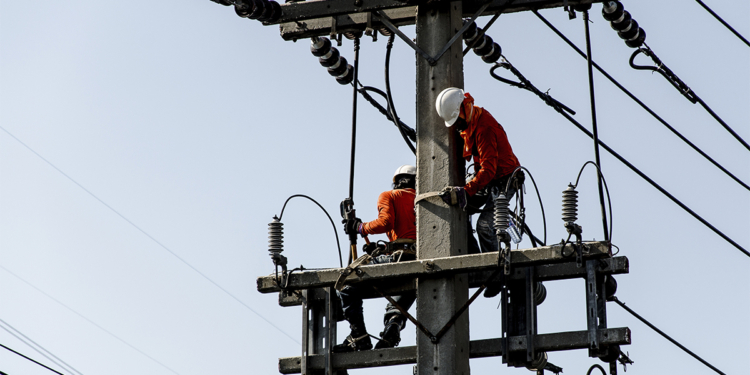 Cooperativas gaúchas realizam leilão conjunto para compra de energia de curto prazo