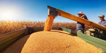 El Niño e juros elevados devem recuar PIB agrícola em 3%