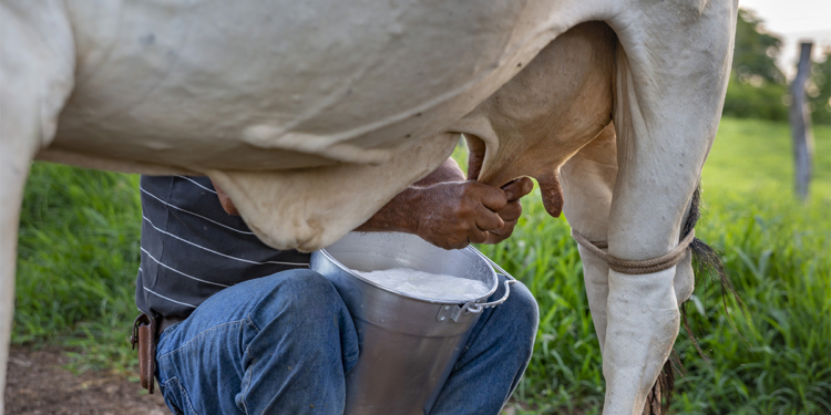 Cargill, IBS e Cooperleite firmam parceria para apoiar produtores de leite na Bahia 1 Cargill, IBS e Cooperleite firmam parceria para apoiar produtores de leite na Bahia