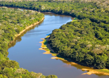 Mato Grosso do Sul fortalece economia local com cooperativas em mais de 97% dos municípios 2 Mato Grosso do Sul fortalece economia local com cooperativas em mais de 97% dos municípios