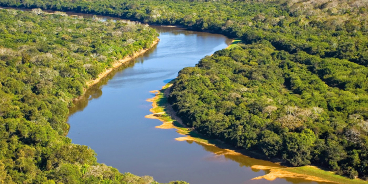 Mato Grosso do Sul fortalece economia local com cooperativas em mais de 97% dos municípios 1 Mato Grosso do Sul fortalece economia local com cooperativas em mais de 97% dos municípios