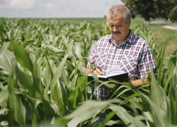 Entidades do agro cobram celeridade na operacionalização da MP das dívidas rurais