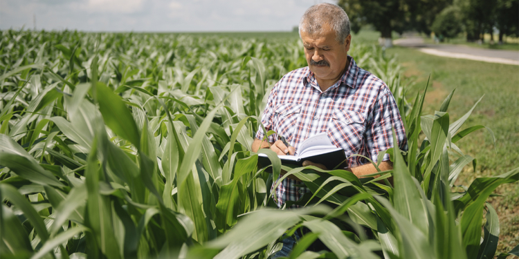 Entidades do agro cobram celeridade na operacionalização da MP das dívidas rurais 1 Entidades do agro cobram celeridade na operacionalização da MP das dívidas rurais