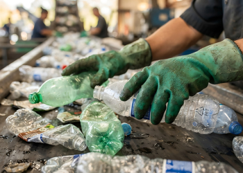 Cooperativas de catadores respondem por 90% da reciclagem de embalagens no Brasil