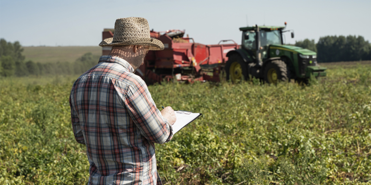 Títulos privados do agro movimentam R$ 580,8 bi em CPR no início da safra 2026/27 1 Títulos privados do agro movimentam R$ 580,8 bi em CPR no início da safra 2026/27