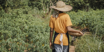 Seguradoras retomam projetos-piloto de seguro de renda para produtores após interrupção desde 2020/21 8 Seguradoras retomam projetos-piloto de seguro de renda para produtores após interrupção desde 2020/21