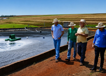Projeto do Sicredi de combate às mudanças climáticas é reconhecido no maior evento de cooperativismo de crédito do mundo