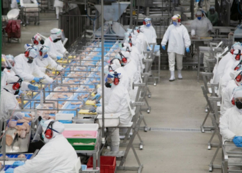 Cooperativa Lar projeta faturamento acima de R$ 24 bilhões e destaca desafios do setor em 2026 2 Cooperativa Lar projeta faturamento acima de R$ 24 bilhões e destaca desafios do setor em 2026