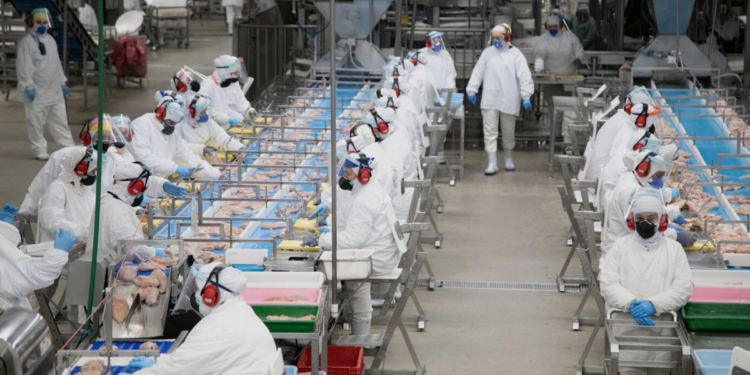 Cooperativa Lar projeta faturamento acima de R$ 24 bilhões e destaca desafios do setor em 2026