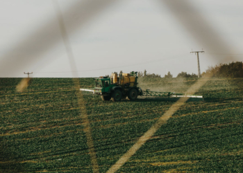 Sicoob projeta liberação de R$ 70 bi em crédito rural para o Plano Safra 26/27 2 Sicoob projeta liberação de R$ 70 bi em crédito rural para o Plano Safra 26/27