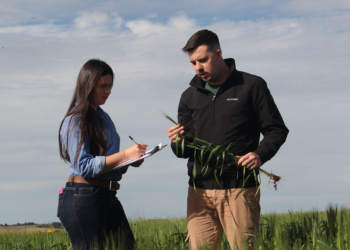 Empreendedorismo científico aproxima pesquisas e impulsiona inovação no agro