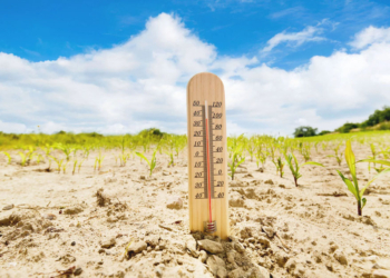 Clima e geopolítica ampliam volatilidade no agro
