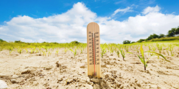 Clima e geopolítica ampliam volatilidade no agro