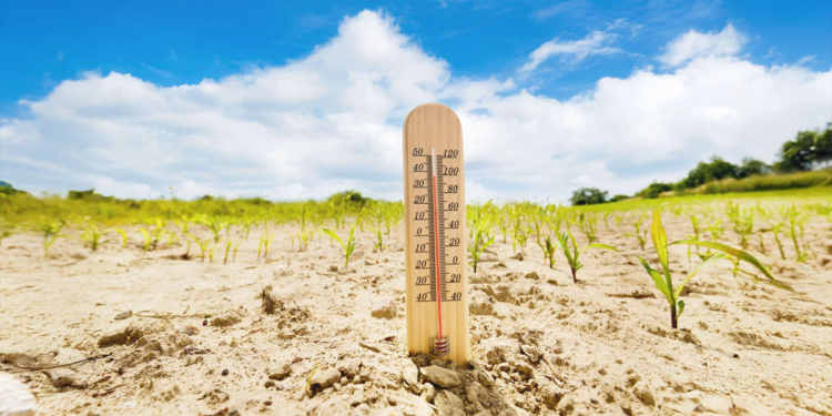 Clima e geopolítica ampliam volatilidade no agro